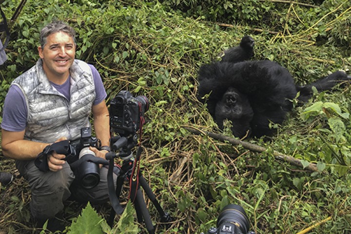 Trekking Mountain Gorillas,…