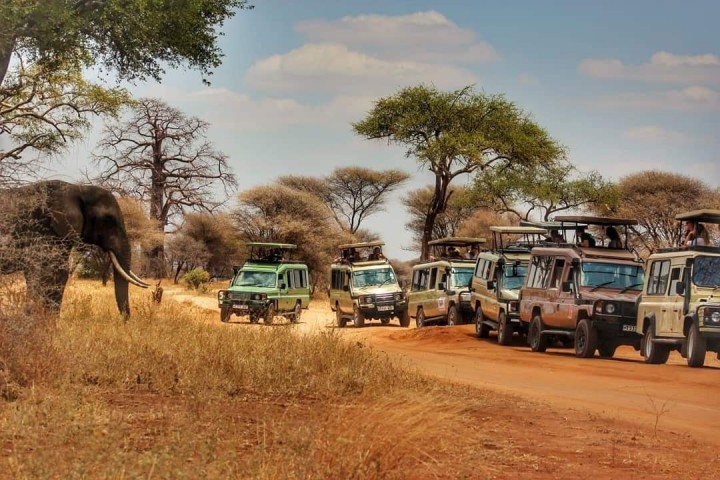 Safaris 3 Days Tarangire…
