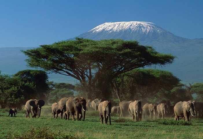 4 Days Amboseli – Tsavo…