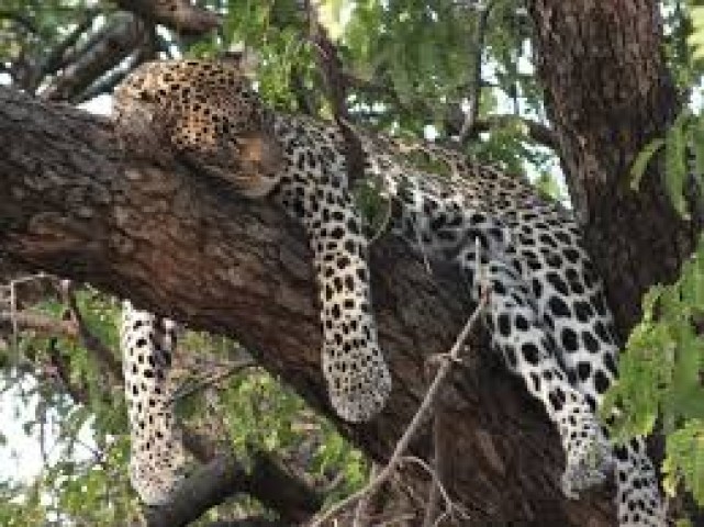 3 Days Samburu Safari…