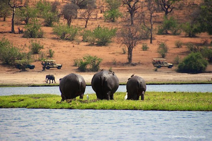 Botswana Chobe Day Trip…