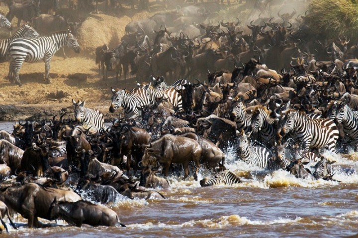3 Days Masai Mara Air…