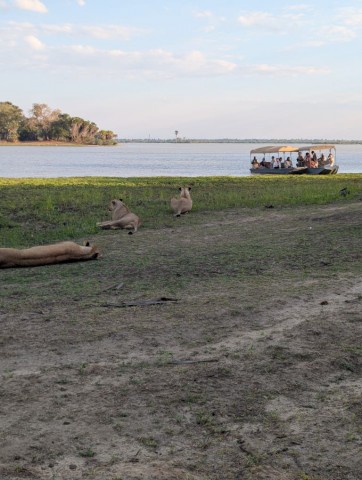 1 day - Selous Game…