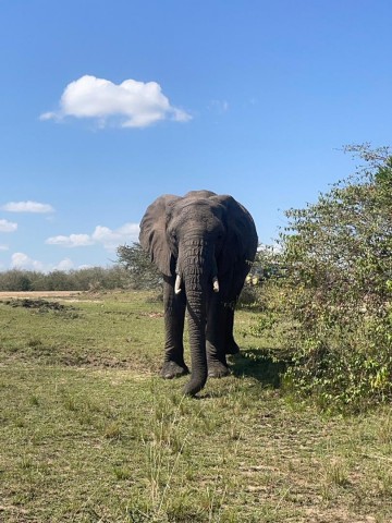 3 DAYS Serengeti and…