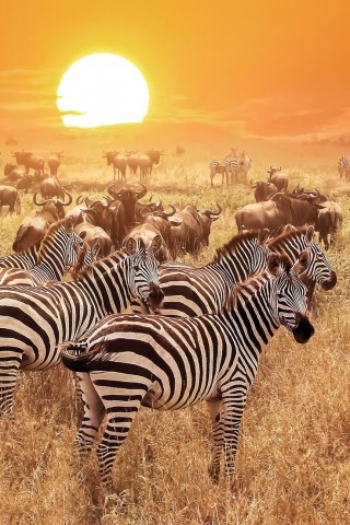 5-Day Tanzania Fly-In…