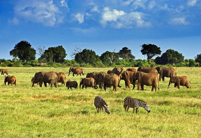 ARUSHA NATIONAL PARK-DAY…