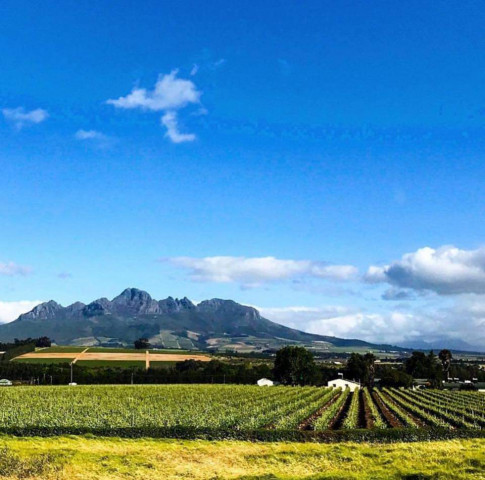 1 Day Cape Winelands…