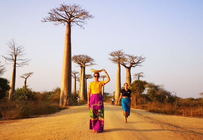 Lemurs, Baobabs, beach…
