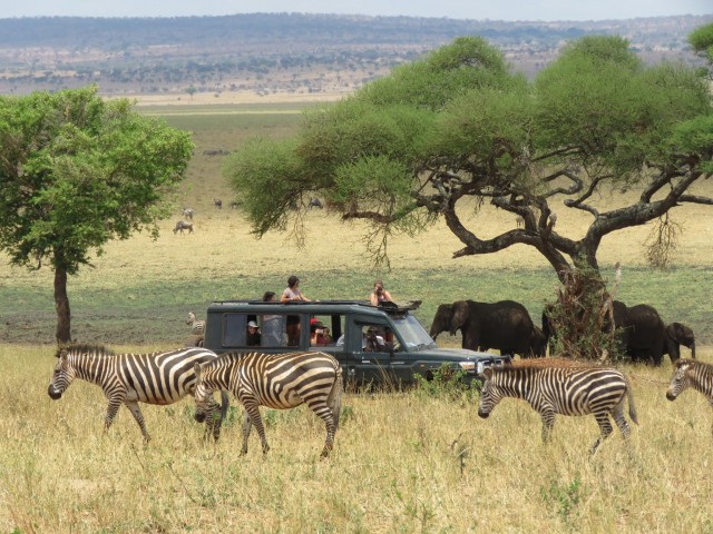 Luxury Safari 7days…