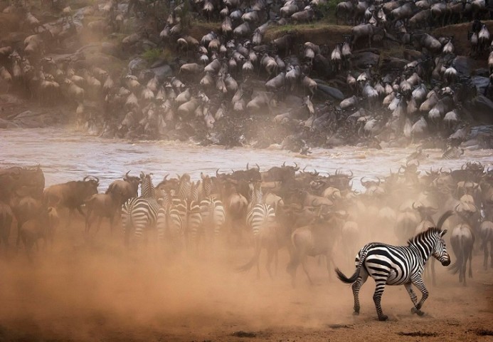Spectacular Serengeti…