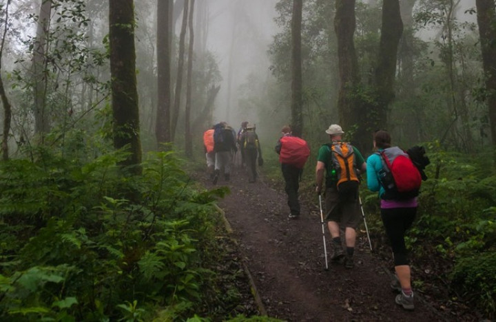 Kilimanjaro Day Trip.