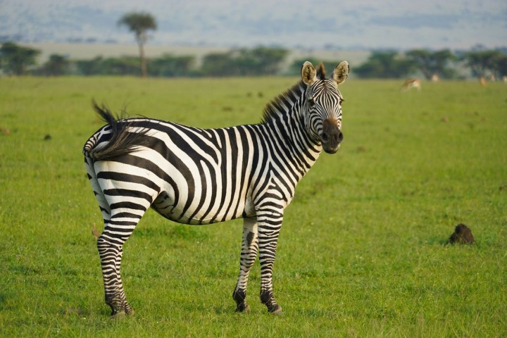 6-Day Tanzania Fly-In…